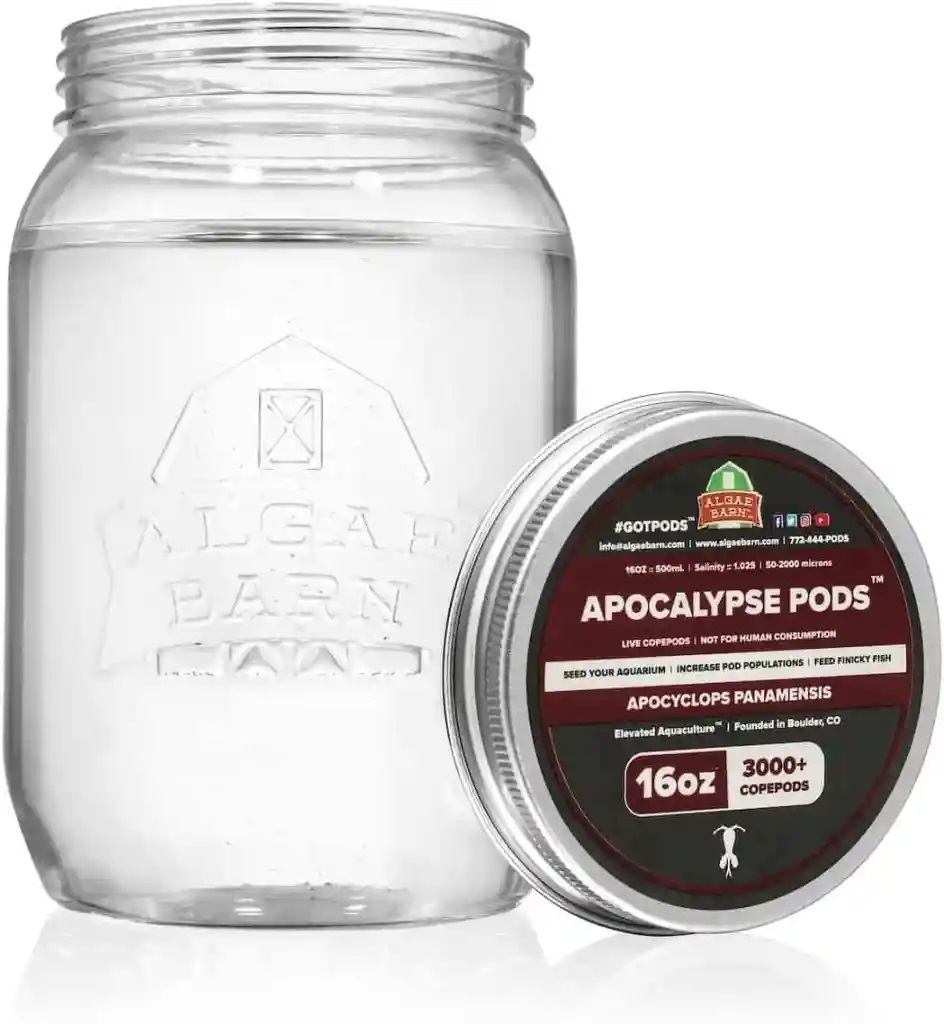 apocalypse pods