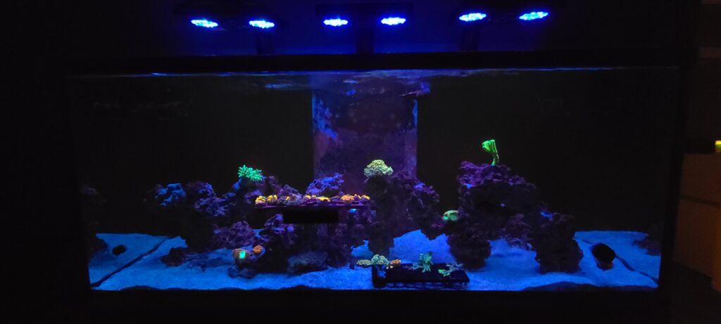 150 Gallon Reef Aquarium